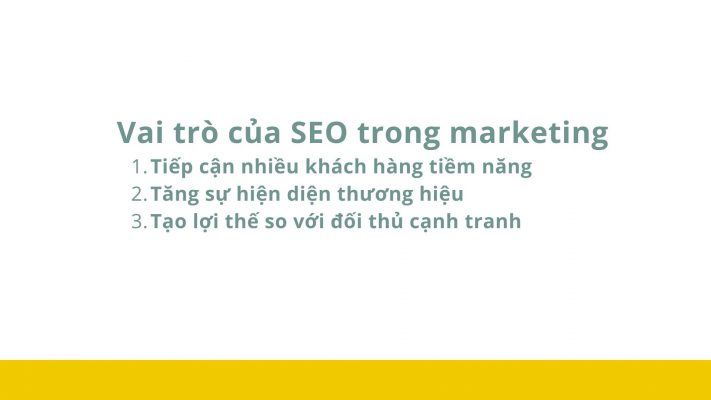 vai tro cua seo trong marketing