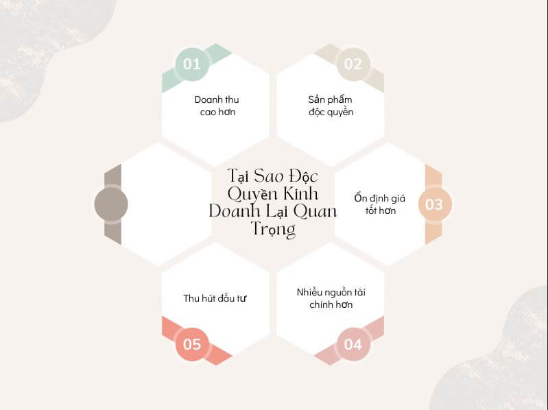 Ví dụ về độc quyền trong kinh doanh - Tại sao độc quyền kinh doanh lại quan trọng
