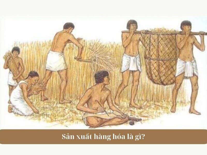 Ví dụ về sản xuất hàng hóa - Sản xuất hàng hóa là gì?