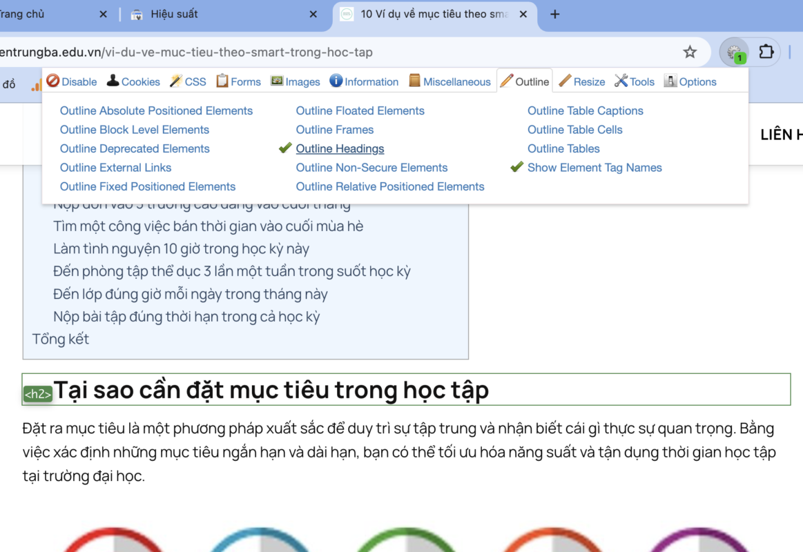 Kết quả kiểm tra cấu trúc heading bài viết chuẩn SEO bằng Web Developer Extension